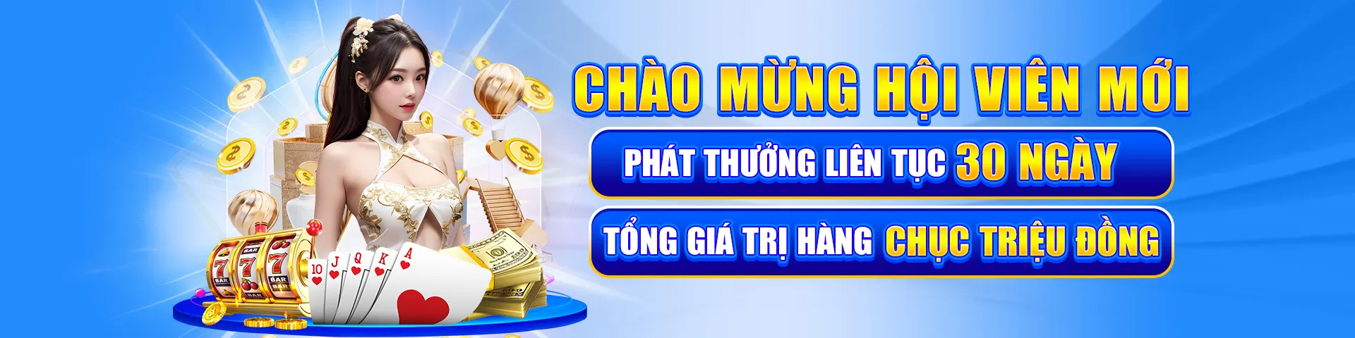 Banner-Vipwin