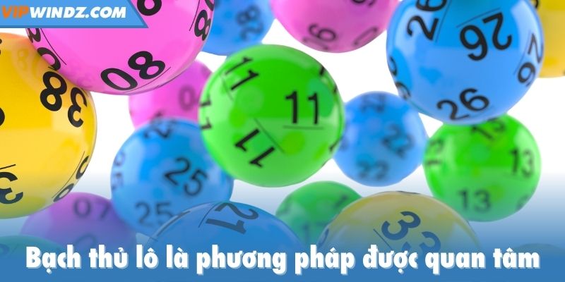 Bạch thủ lô là phương pháp được quan tâm