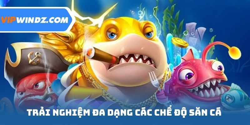 Trải nghiệm đa dạng các chế độ săn cá