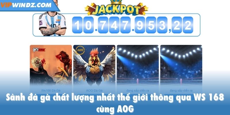 Sảnh đá gà chất lượng nhất thế giới thông qua WS 168 cùng AOG