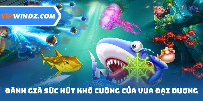 Đánh giá sức hút khó cưỡng của vua đại dương