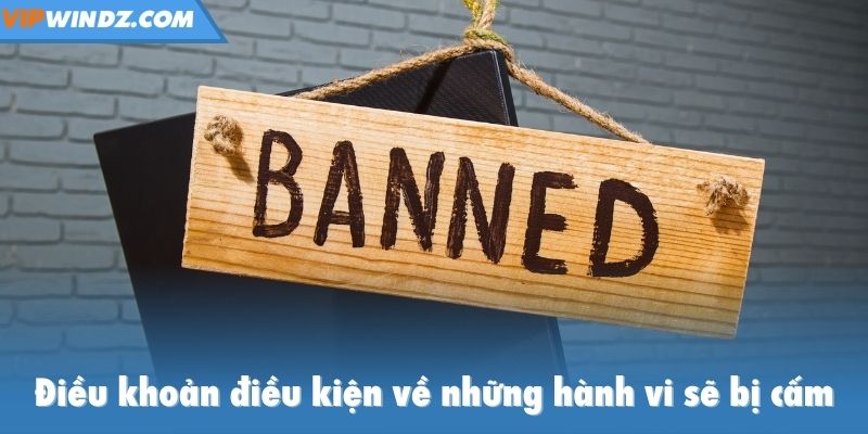 Điều khoản điều kiện về những hành vi sẽ bị cấm