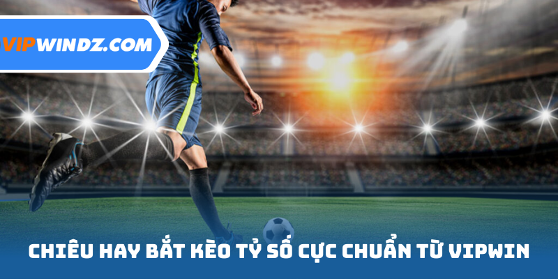 Chiêu hay bắt kèo tỷ số cực chuẩn từ Vipwin