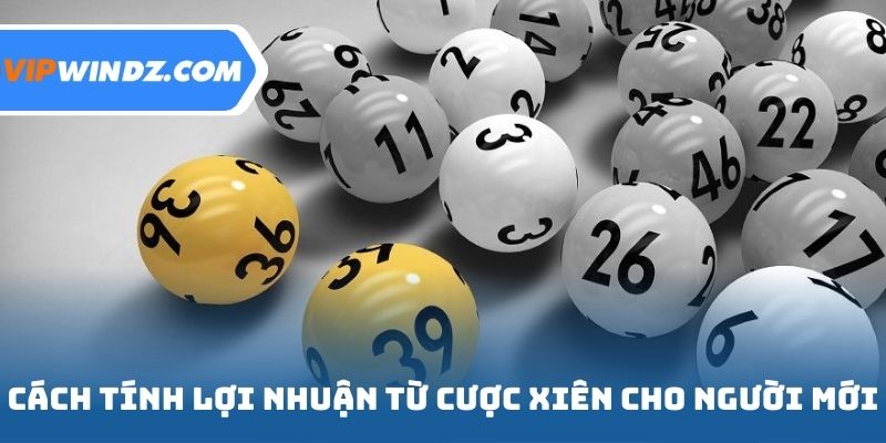 Cách tính lợi nhuận từ cược xiên cho người mới