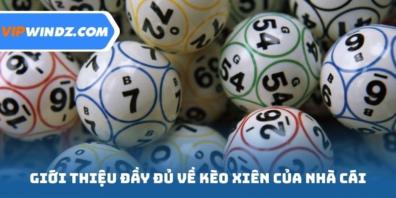 Giới thiệu đầy đủ về kèo xiên của nhà cái