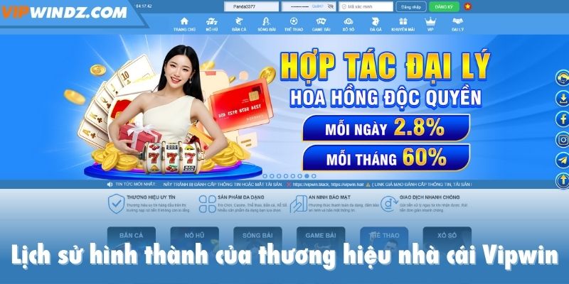 Lịch sử hình thành của thương hiệu nhà cái Vipwin