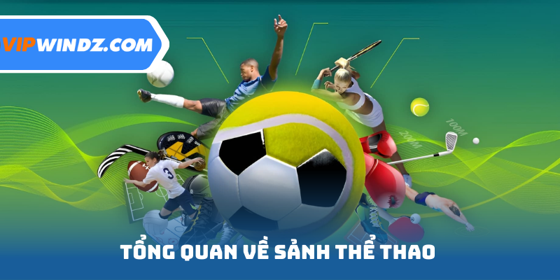 Tổng quan về sảnh thể thao